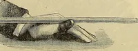 An illustration from The Popular recreator. A key to in-door and out-door amusements .. (1873)