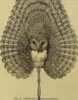 Picture 69 of 665 from The Popular recreator. A key to in-door and out-door amusements .. (1873), leaf 81