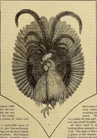 Picture 71 of 665 from The Popular recreator. A key to in-door and out-door amusements .. (1873), leaf 82