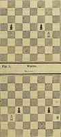 Picture 80 of 665 from The Popular recreator. A key to in-door and out-door amusements .. (1873), leaf 92