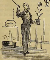 Picture 87 of 665 from The Popular recreator. A key to in-door and out-door amusements .. (1873), leaf 94