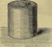 Picture 88 of 665 from The Popular recreator. A key to in-door and out-door amusements .. (1873), leaf 96