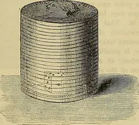 Picture 89 of 665 from The Popular recreator. A key to in-door and out-door amusements .. (1873), leaf 96