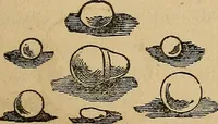 An illustration from A popular treatise on gems, in reference to their scientific value; a guide for the teacher of natural sciences, the jeweller, and amateur: together with a description of the elements of mineralogy, and all ornamental and architectural materials .. (1859)