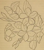 An illustration from A popular treatise on gems, in reference to their scientific value; a guide for the teacher of natural sciences, the jeweller, and amateur: together with a description of the elements of mineralogy, and all ornamental and architectural materials .. (1859)