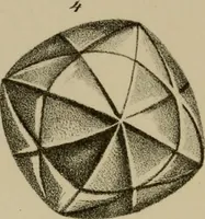 An illustration from A popular treatise on gems, in reference to their scientific value; a guide for the teacher of natural sciences, the jeweller, and amateur: together with a description of the elements of mineralogy, and all ornamental and architectural materials .. (1859)