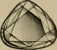 Picture 104 of 124 from A popular treatise on gems, in reference to their scientific value; a guide for the teacher of natural sciences, the jeweller, and amateur: together with a description of the elements of mineralogy, and all ornamental and architectural materials .. (1859), leaf 465