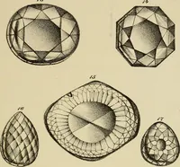 An illustration from A popular treatise on gems, in reference to their scientific value; a guide for the teacher of natural sciences, the jeweller, and amateur: together with a description of the elements of mineralogy, and all ornamental and architectural materials .. (1859)