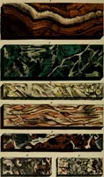 Picture 116 of 124 from A popular treatise on gems, in reference to their scientific value; a guide for the teacher of natural sciences, the jeweller, and amateur: together with a description of the elements of mineralogy, and all ornamental and architectural materials .. (1859), leaf 477