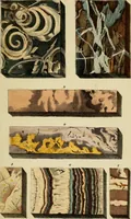 Picture 117 of 124 from A popular treatise on gems, in reference to their scientific value; a guide for the teacher of natural sciences, the jeweller, and amateur: together with a description of the elements of mineralogy, and all ornamental and architectural materials .. (1859), leaf 480