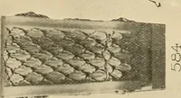 Picture 29 of 134 from [Port-folio] (1898), leaf 34