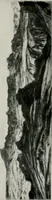 An illustration from Engraved portraits of European celebrities. Decorative engravings. Etchings and engravings by old & modern masters. Art reference books (1922)