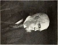 An illustration from Portraits in fine art (1901)