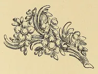 An illustration from Porzellane, Gobelins, Teppiche, Metallarbeiten, Gemälde, alter und neuerer Meister, Mobel, und anderes aus der Sammlung Georg Hirth, 1916 (1916)