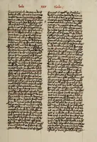 Picture 11 of 35 from [Postilla super totam bibliam : Parabolas, Ecclesiastes, Cantica canticorum. Prophetae minores], leaf 61