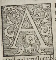 An illustration from The post of the world. : VVherin is contayned the antiquities and originall of the most famous cities in Europe. With their trade and traficke. With their wayes and distance of myles, from country to country. With the true and perfect knowledge of their coynes, the places of their mynts: with al their martes and fayres. And the raignes of all the kinges of England. : A booke right necessary and profitable for all sortes of persons, the like before this tyme not imprinted (1576)