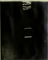 An illustration from Potential stresses in dielectrics (1912)