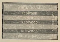 An illustration from Catalogue (1907)