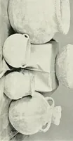 An illustration from The potter's craft: a practical guide for the studio and workshop (1910)