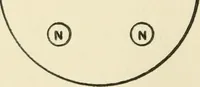 An illustration from The potter's craft: a practical guide for the studio and workshop (1910)