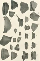 Picture 2 of 124 from The pottery found at Silchester : a descriptive account of the pottery recovered during the excavations on the site of the Romano-British city of Calleva Atrebatum at Silchester, Hants., and deposited in the Reading Museum (1916), leaf 348