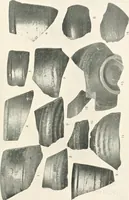 An illustration from The pottery found at Silchester : a descriptive account of the pottery recovered during the excavations on the site of the Romano-British city of Calleva Atrebatum at Silchester, Hants., and deposited in the Reading Museum (1916)