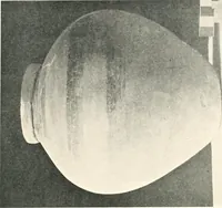 An illustration from The pottery found at Silchester : a descriptive account of the pottery recovered during the excavations on the site of the Romano-British city of Calleva Atrebatum at Silchester, Hants., and deposited in the Reading Museum (1916)