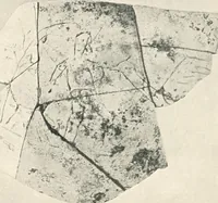 An illustration from The pottery found at Silchester : a descriptive account of the pottery recovered during the excavations on the site of the Romano-British city of Calleva Atrebatum at Silchester, Hants., and deposited in the Reading Museum (1916)