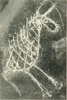 An illustration from The pottery found at Silchester : a descriptive account of the pottery recovered during the excavations on the site of the Romano-British city of Calleva Atrebatum at Silchester, Hants., and deposited in the Reading Museum (1916)