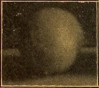 An illustration from Pottery making: an illustrated text book on art pottery making for teachers and artists (1914)
