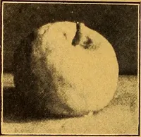 An illustration from Pottery making: an illustrated text book on art pottery making for teachers and artists (1914)