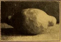 An illustration from Pottery making: an illustrated text book on art pottery making for teachers and artists (1914)