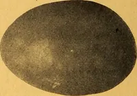 An illustration from Pottery making: an illustrated text book on art pottery making for teachers and artists (1914)