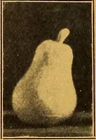 An illustration from Pottery making: an illustrated text book on art pottery making for teachers and artists (1914)