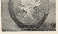 Picture 7 of 18 from The pottery and porcelain of the United States; an historical review of American ceramic art from the earliest times to the present day (1893), leaf 232
