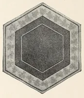 An illustration from The pottery and porcelain of the United States; an historical review of American ceramic art from the earliest times to the present day (1893)