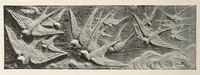 Picture 15 of 18 from The pottery and porcelain of the United States; an historical review of American ceramic art from the earliest times to the present day (1893), leaf 384