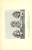Picture 6 of 18 from Pottery and porcelain; a guide to collectors (1900), leaf 139