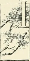 An illustration from The pottery and porcelain of the United States; an historical review of American ceramic art from the earliest times to the present day (1893)