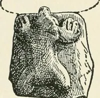 An illustration from The pottery and porcelain of the United States; an historical review of American ceramic art from the earliest times to the present day (1893)