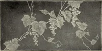 An illustration from Pottery and porcelain of the United States : an historical review of American ceramic art from the earliest times to the present day (1893)