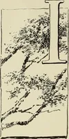 An illustration from Pottery and porcelain of the United States : an historical review of American ceramic art from the earliest times to the present day (1893)