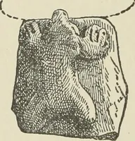 Picture 21 of 232 from Pottery and porcelain of the United States : an historical review of American ceramic art from the earliest times to the present day (1893), leaf 65