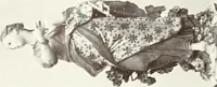 An illustration from Pottery & porcelain, a guide to collectors; containing nearly two hundred illustrations of specimens of various factories, nine coloured plates, and marks and monograms of all the important makers (1912)