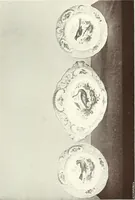 An illustration from Pottery & porcelain, a guide to collectors; containing nearly two hundred illustrations of specimens of various factories, nine coloured plates, and marks and monograms of all the important makers (1912)