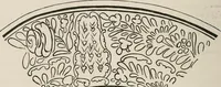 An illustration from Pottery and porcelain of all times and nations; with tables of factory and artists' marks for the use of collectors (1878)