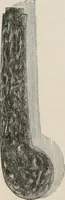 Picture 216 of 286 from Pottery and porcelain of all times and nations; with tables of factory and artists' marks for the use of collectors (1878), leaf 355