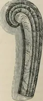 An illustration from Pottery and porcelain of all times and nations; with tables of factory and artists' marks for the use of collectors (1878)