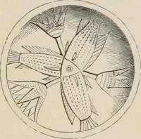 An illustration from Pottery and porcelain of all times and nations; with tables of factory and artists' marks for the use of collectors (1878)