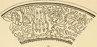 An illustration from Pottery and porcelain of all times and nations : with tables of factory and artists' marks for the use of collectors (1878)